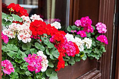 《喋血街头：脑损伤》将在今年内登陆PS4和PS5主机